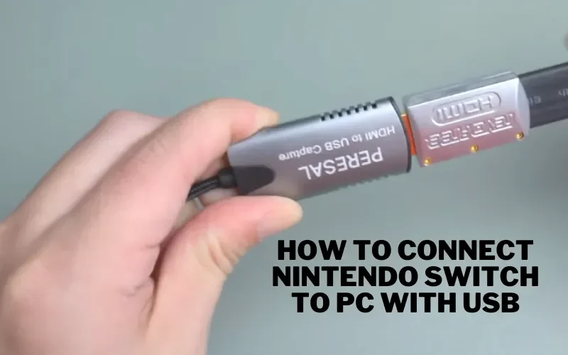 How To Connect Nintendo Switch To Pc With USB