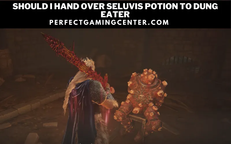 Should I Hand Over Seluvis Potion To Dung Eater