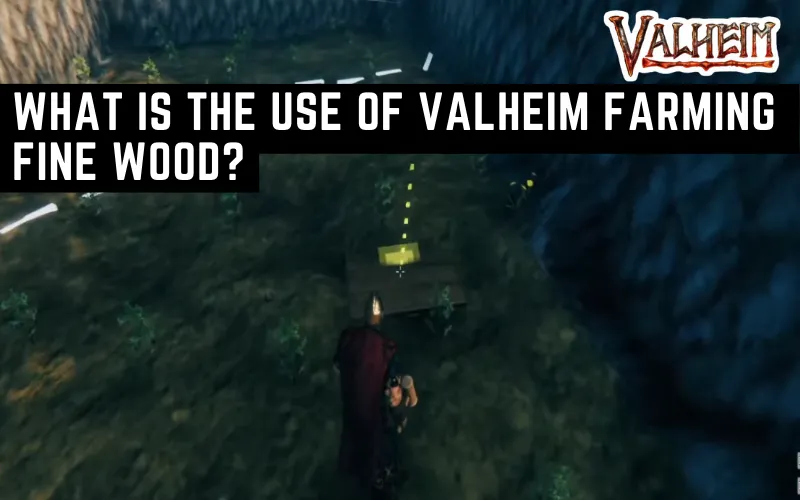 What Is The Use Of Valheim Farming Fine Wood?