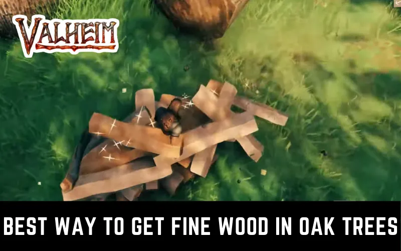 Valheim Best Way to Get Fine Wood in Oak Trees
