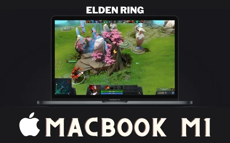 Elden Ring Experience on a MacBook