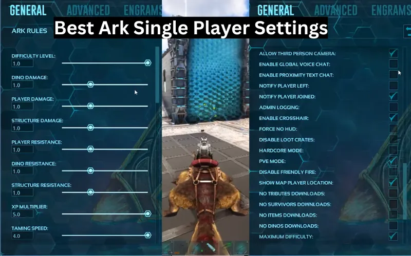 best ark single player setting